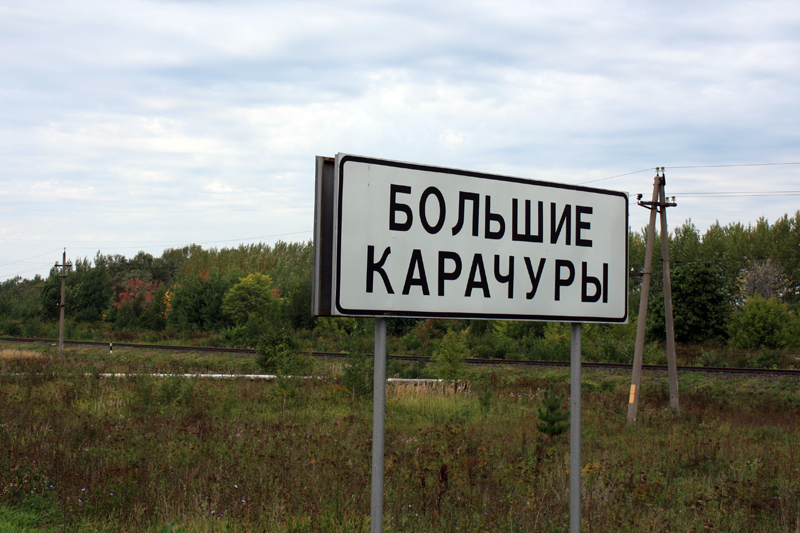 Большие карачуры